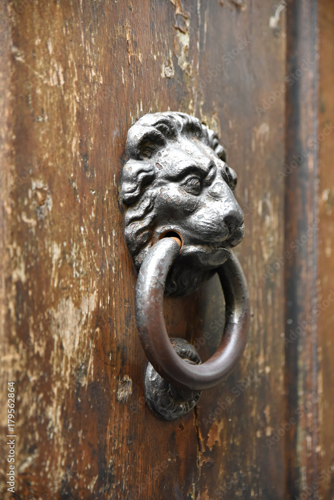 Poignée de porte cochère en fer forgé à tête de lion