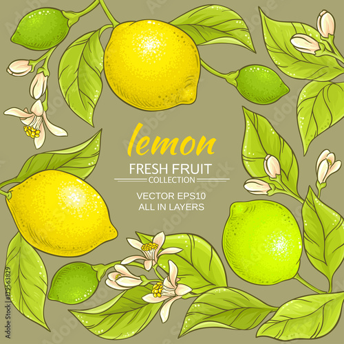 lemon vector frame