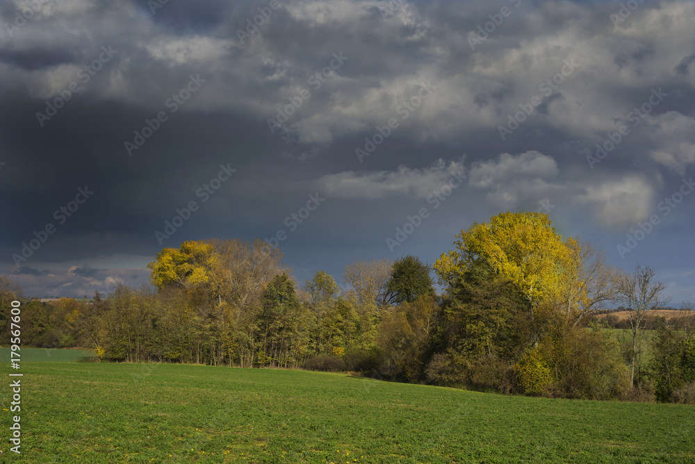 Stormy dark clouds over the trees and field. The fall scene Stormy dark clouds over the trees and field. The fall scene
