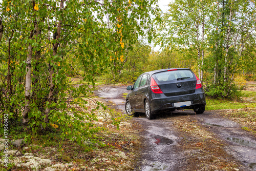 black car in the forest after rain