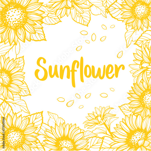 Sunflower. Sunflower card design. Vector illustration