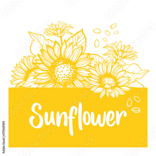 Sunflower. Sunflower card design. Vector illustration