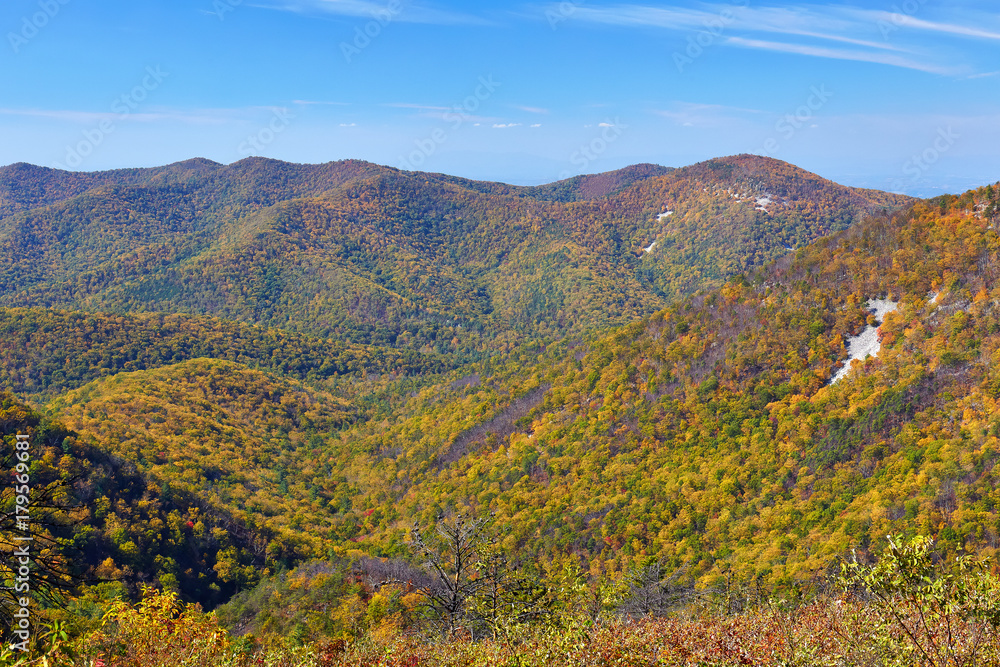 Autumn scene along Skyline Drive in the South District of Shenandoah National Park, Virginia