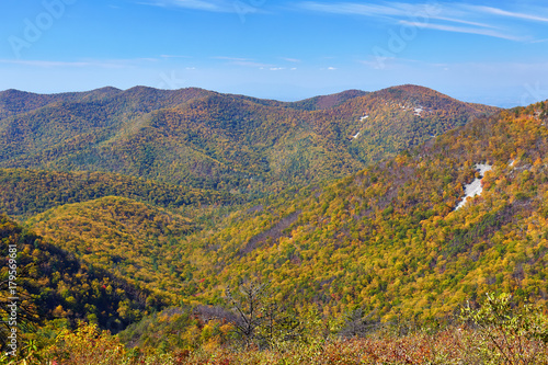 Autumn scene along Skyline Drive in the South District of Shenandoah National Park, Virginia © Sean  Board