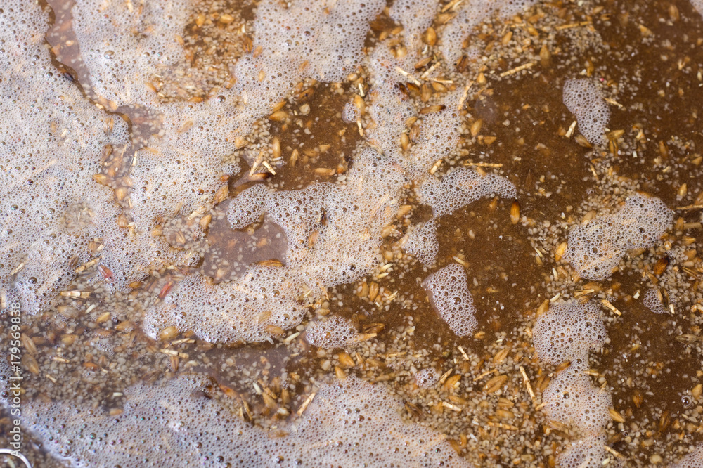 process of making home beer from malt. Kraft beer from barley and dark malt process of making home beer from malt. Kraft beer from barley and dark malt