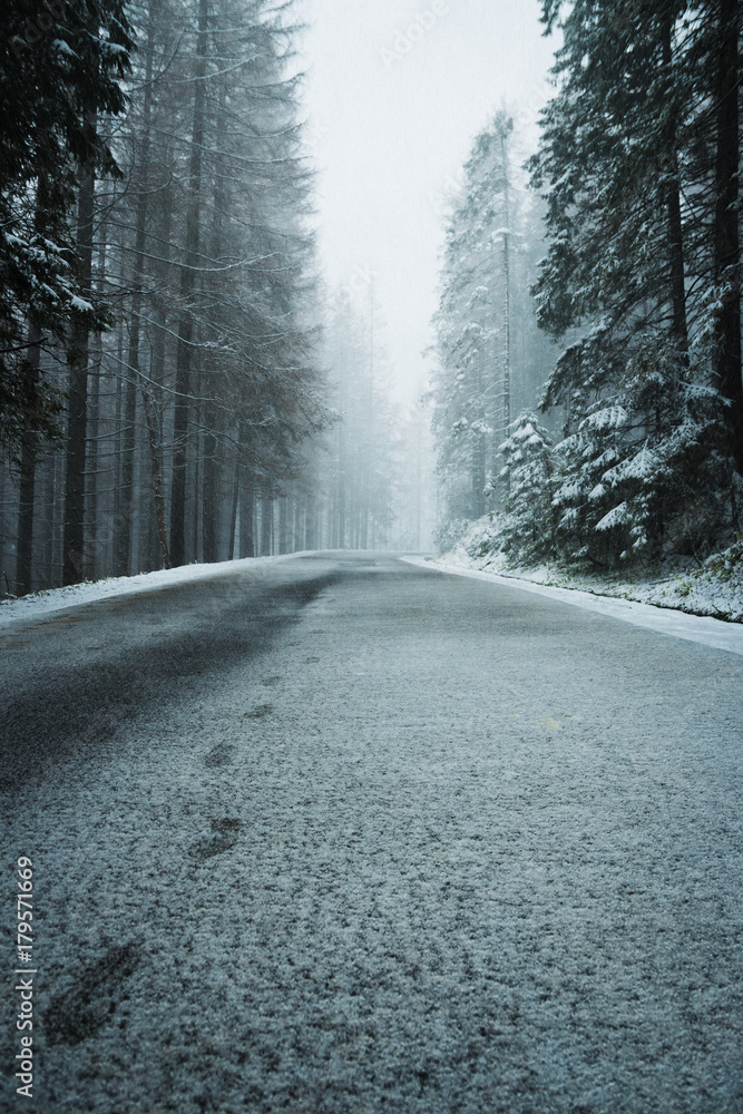 Winter Paths Winter Paths