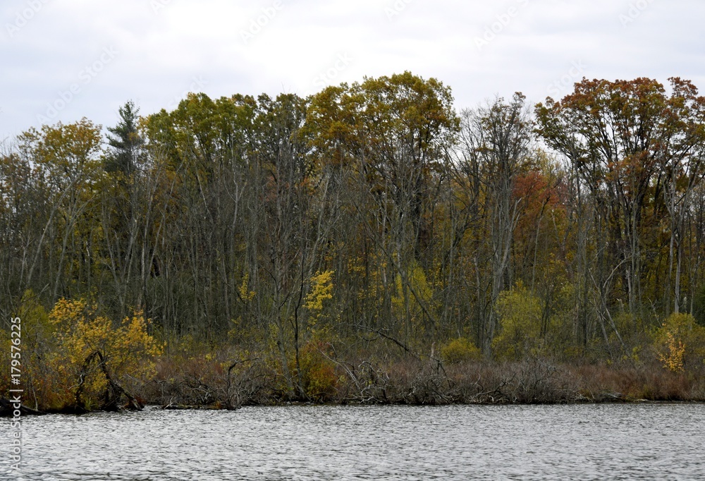 view across a lake towards Autumn foliage trees along the lake shoreline, Autumn landscape at Westminster Ponds in London Ontario view across a lake towards Autumn foliage trees along the lake shoreline, Autumn landscape at Westminster Ponds in London Ontario