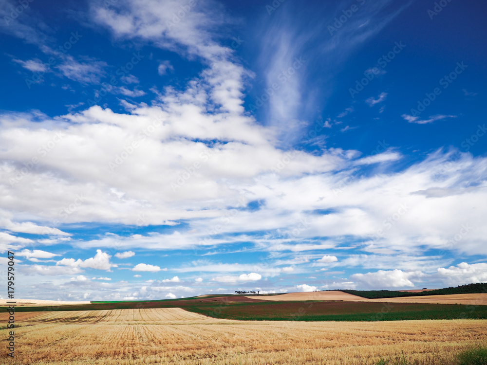 Obraz premium campo de labranza