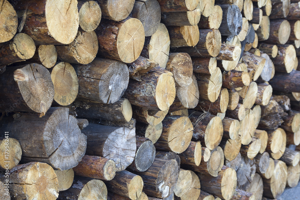 Round wood in the warehouse is a large plan. Industry Round wood in the warehouse is a large plan. Industry