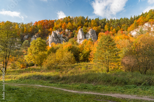 Autumn in Poland, cliffs in Dolina Kobylanska (Kobylanska Valley) near Krakow