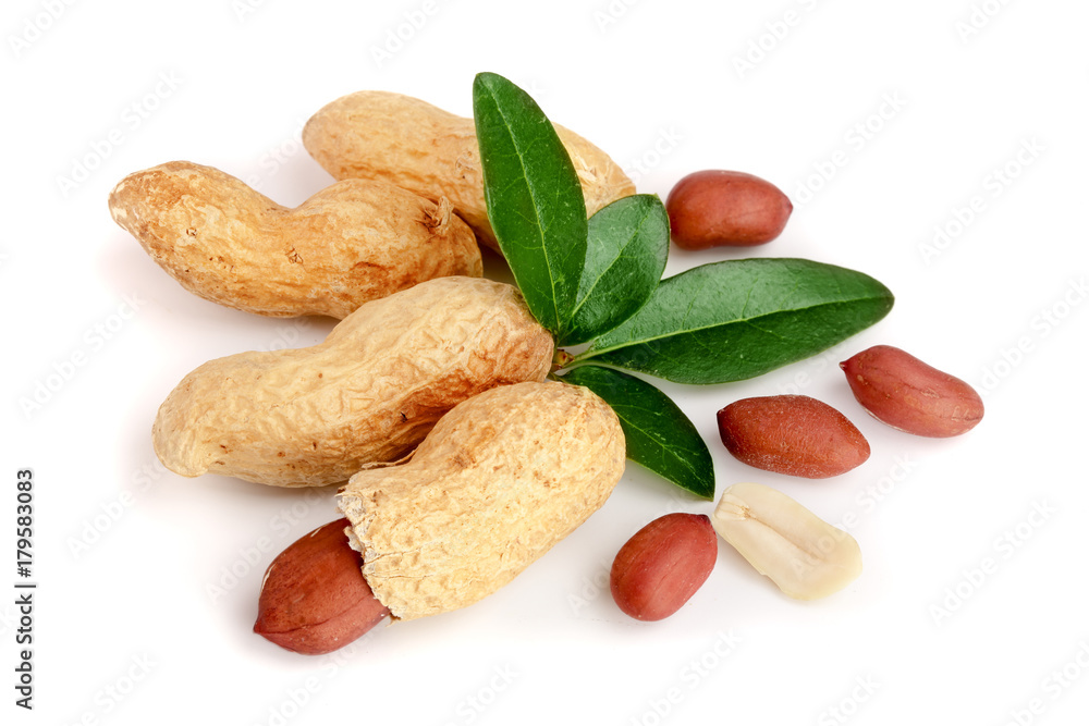 peanuts with leaf isolated on white background peanuts with leaf isolated on white background