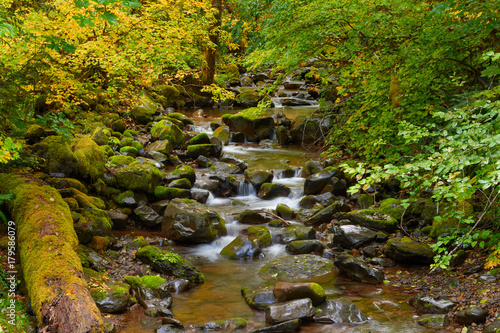 A small mountain creek flows among stones and autumn trees in the forest. Mouse Creek, Gifford Pinchot National Forest, Washington, USA Pacific Northwest. photo
