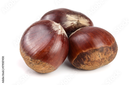 fresh edible chestnut isolated on white background