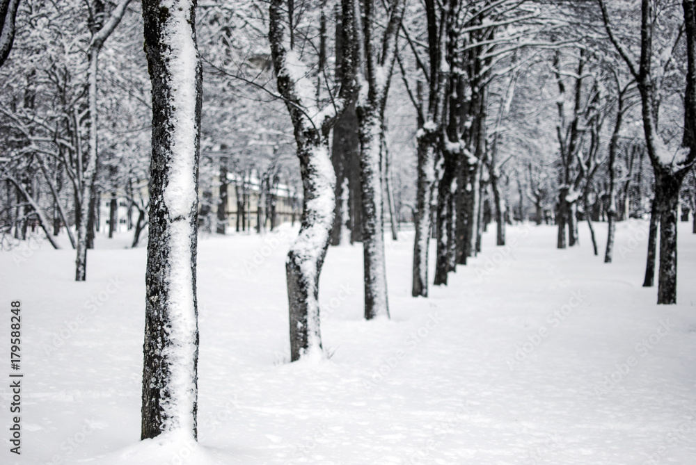 Obraz premium Paisaje de invierno