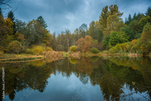 Fototapeta Naklejka Na Ścianę i Meble -  European Pond in Fall