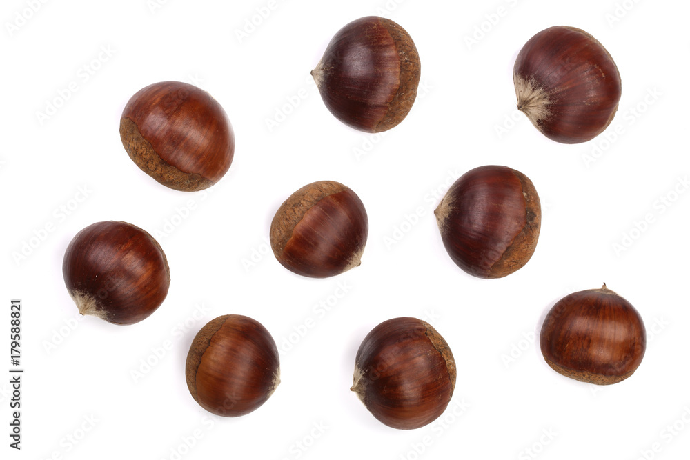 chestnut isolated on white background. Top view chestnut isolated on white background. Top view