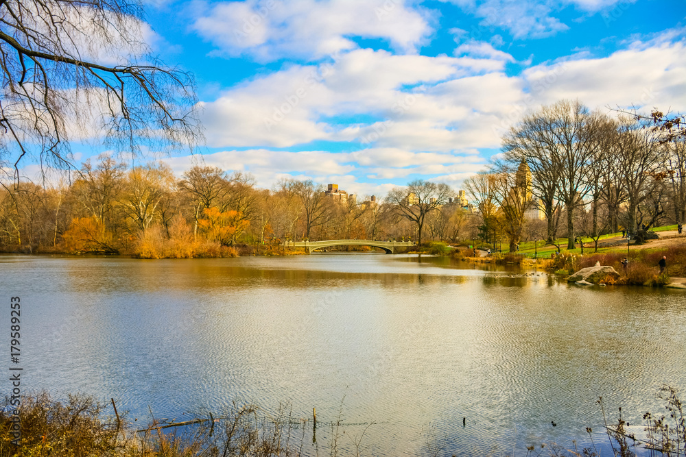 Obraz premium View of Central Park