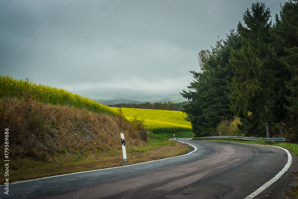 German Road in Agricultural Landscape