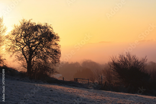 Frosty morning sunrise