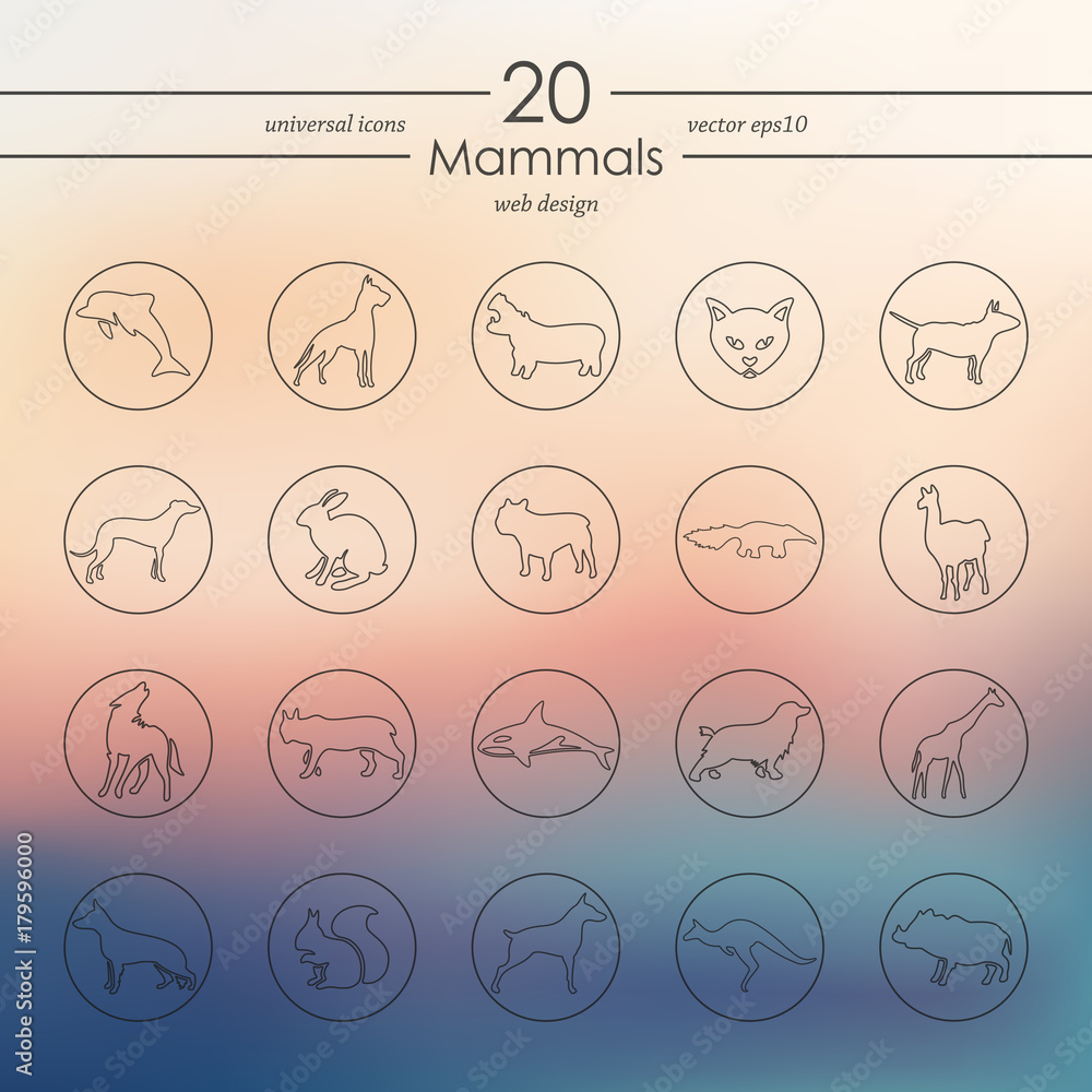 Set of mammals icons Set of mammals icons
