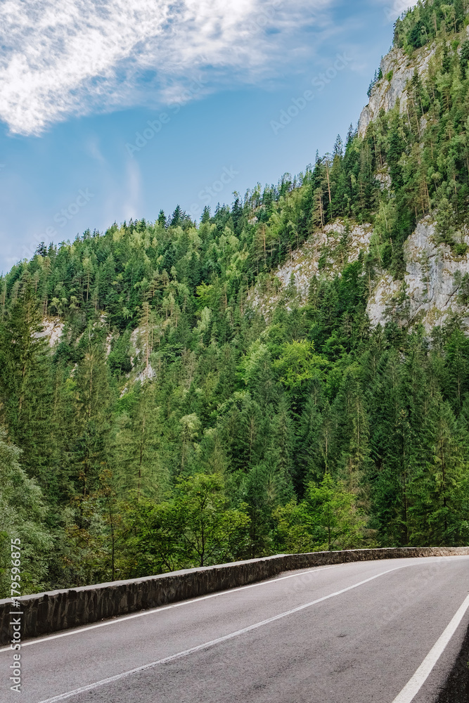 No cars, auto on asphalt road through cliffs and pine forest at the Bicaz Gorge in Carpathians, Romania No cars, auto on asphalt road through cliffs and pine forest at the Bicaz Gorge in Carpathians, Romania