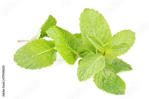 Fresh mint leafs isolated on white