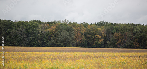 Early Fall from a Plowed Field