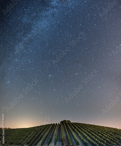 Vinho e estrelas 