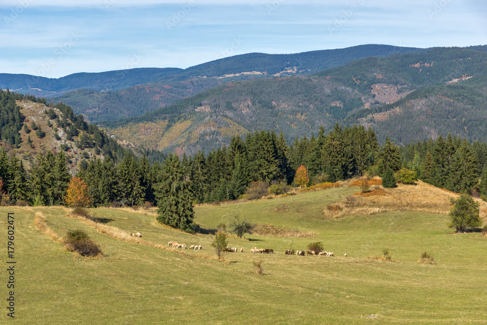 Amazing autumn panorama near village of Gela, Smolyan Region, Bulgaria Amazing autumn panorama near village of Gela, Smolyan Region, Bulgaria