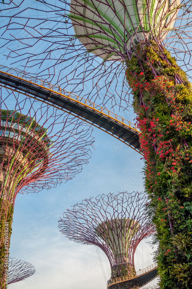 Obraz premium Jardins de Singapour