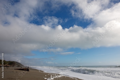 Westcoast southisland New Zealand photo