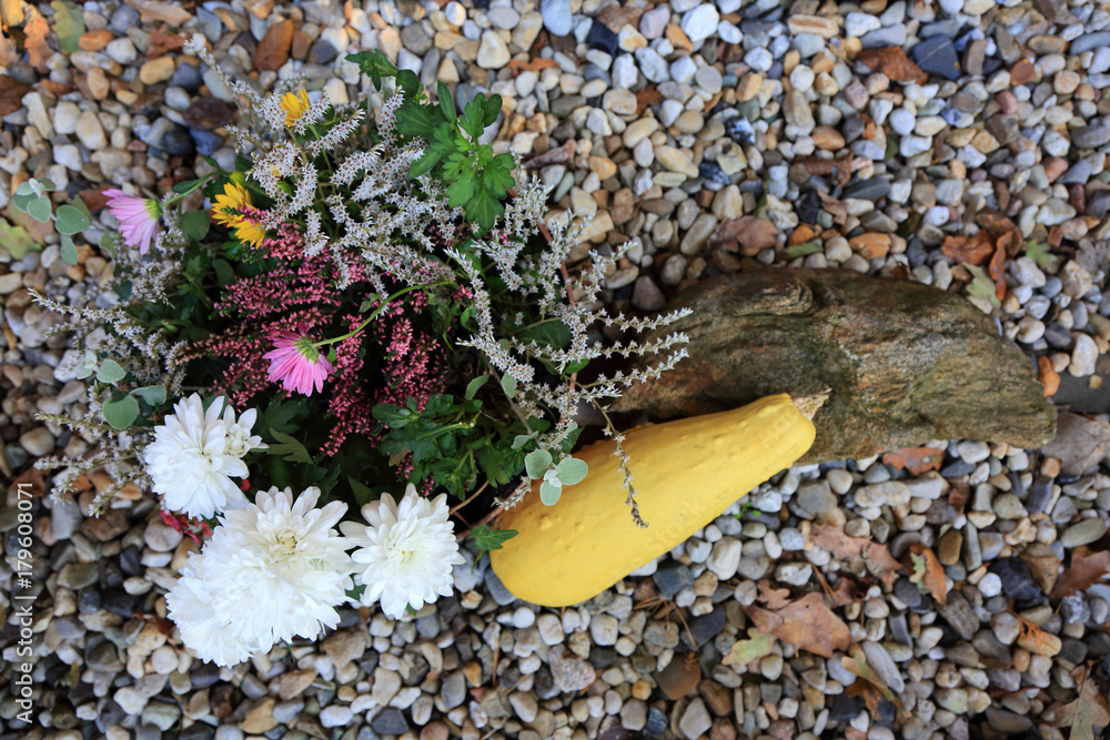 Kwiaty, dynia i kamień na kolorowych kamieniach w ogrodzie. - obrazy, fototapety, plakaty 
