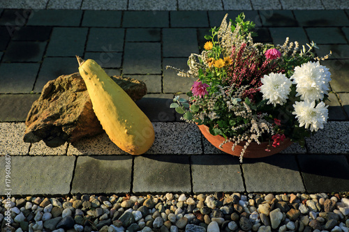 Kwiaty, dynia i kamień na chodniku z kostki w ogrodzie.