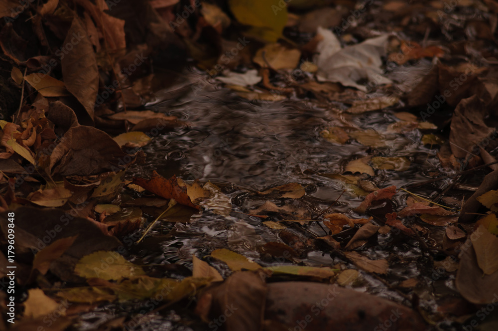 Autumn is a great time. Autumn is a great time.
