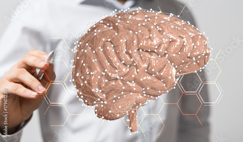 brain
