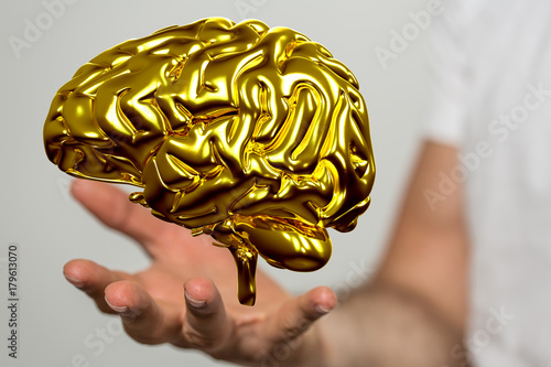 brain