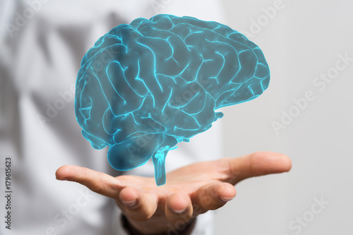 human brain