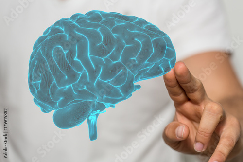 brain
