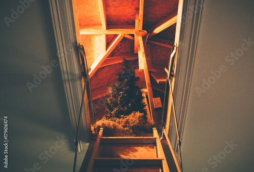 Christmas is waiting for you, a Christmas tree in the attic