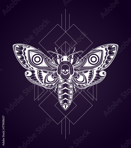 Death's-head hawkmoth