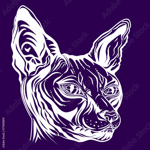 sketch of a cat's head. Line art Portrait of a Sphinx cat. Hand drawn cat breed Sphinx. Hairless naked cat. Graphic vector illustration.