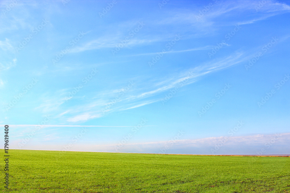 Nature background. Green grass field against a blue sky with wispy white clouds