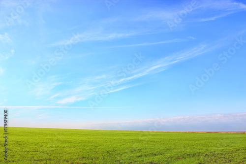 Nature background. Green grass field against a blue sky with wispy white clouds