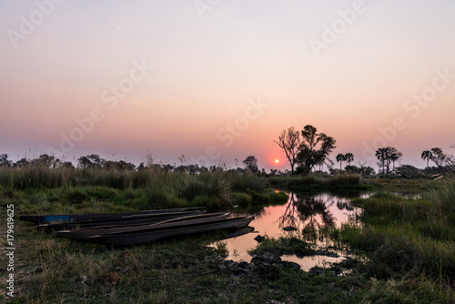 Sunset in the Okavango Delta photo