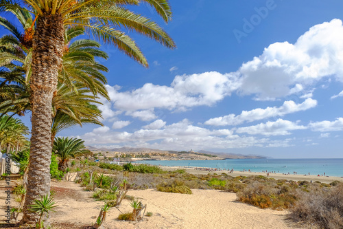 Beach Costa Calma on the Canary Island Fuerteventura, Spain.
