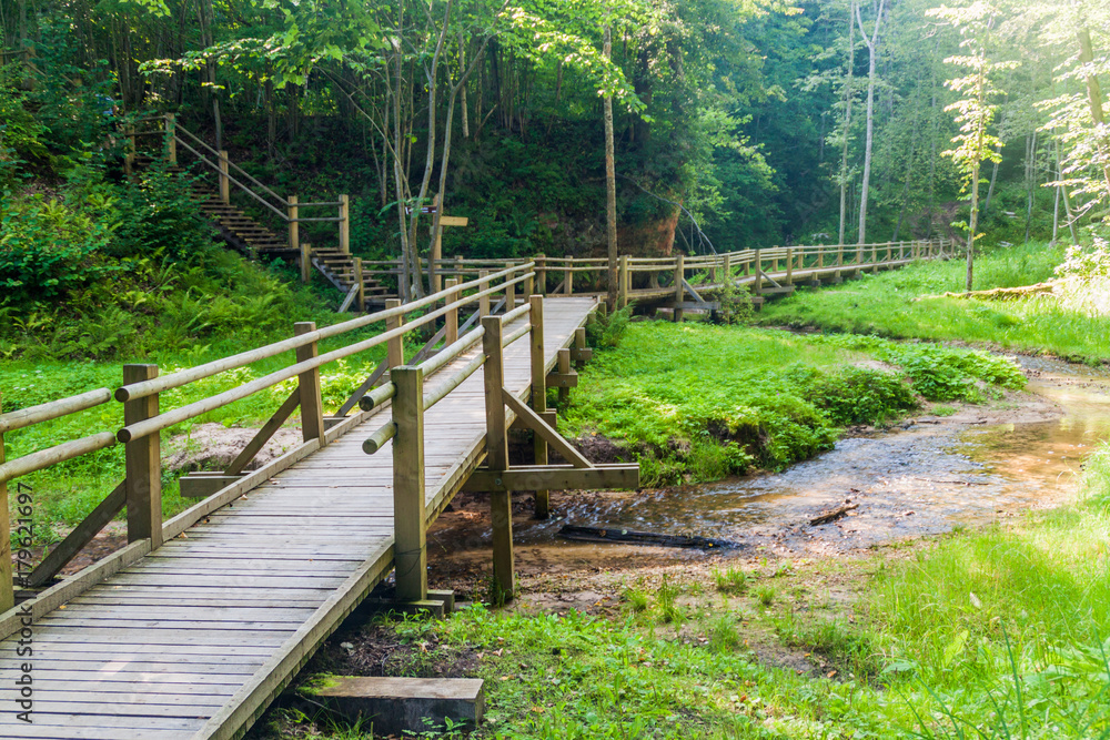 Boardwalk in Gauja National Park, Latvia Boardwalk in Gauja National Park, Latvia