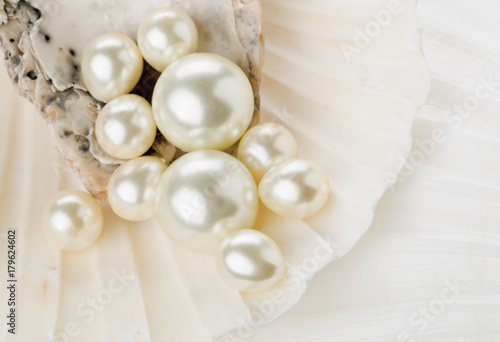 Pearls in sea shell close up
