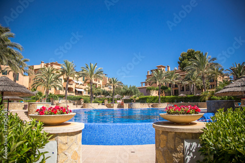 Swimming pool with palms and colourful flowers