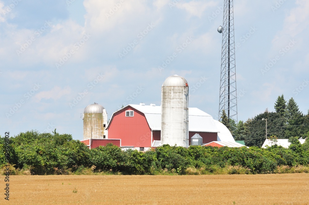 Farm and Cell Tower