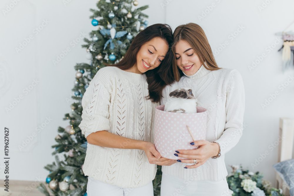 Two happy, stylish and beautiful girls opened Christmas gifts and received a the rabbit. Two happy, stylish and beautiful girls opened Christmas gifts and received a the rabbit.